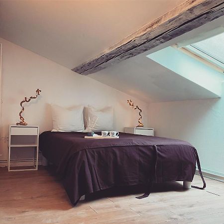 Superbe Duplex En Plein Coeur De Nancy Bagian luar foto