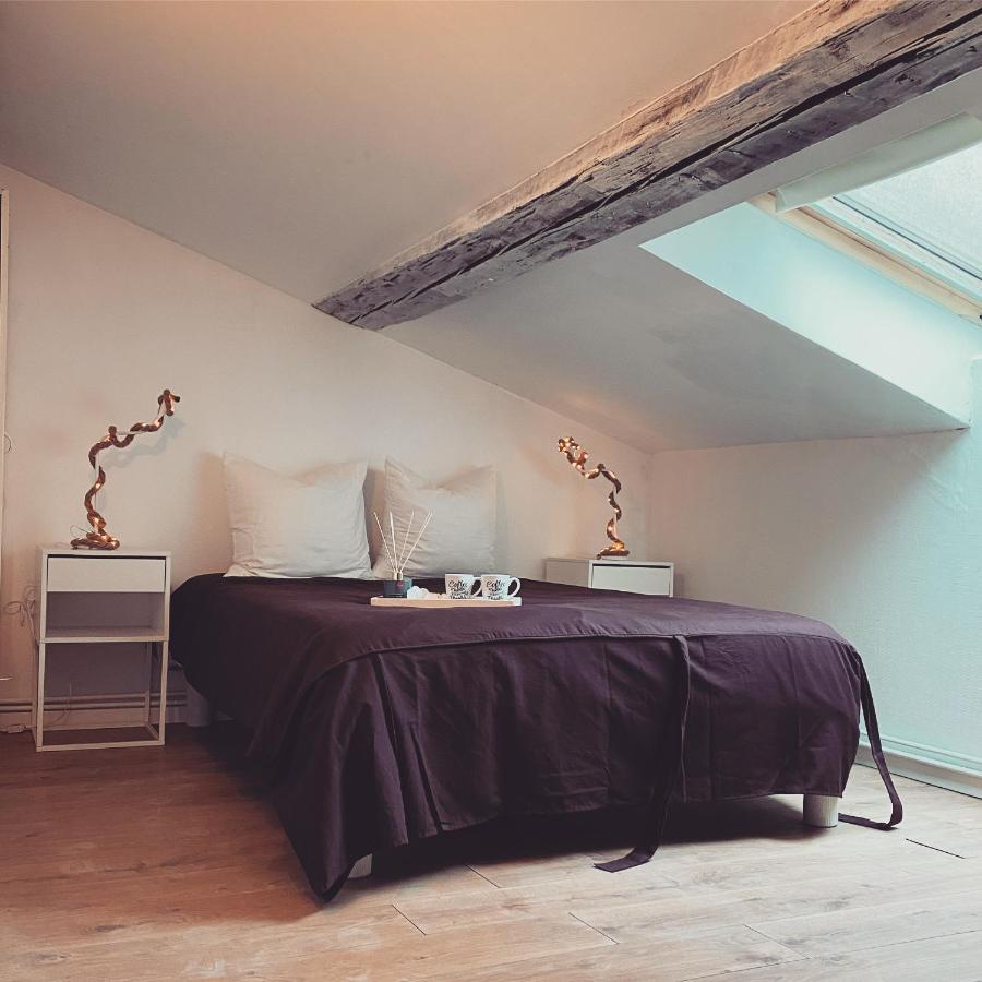 Superbe Duplex En Plein Coeur De Nancy Bagian luar foto